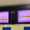 IMG_0409