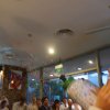 DSC04223