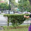 DSC04515
