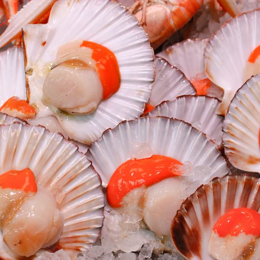 Half Shell Scallops <br />Frozen (1 kg)